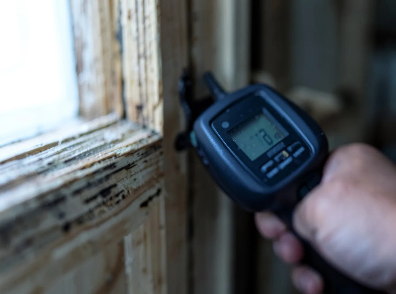 Ceiling Water Damage Repair in Abrams, WI